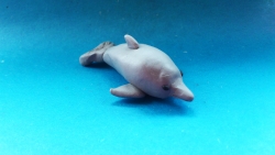 Как слепить дельфина из пластилина своими руками поэтапно
