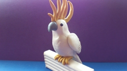 Фотография попугая какаду из пластилина