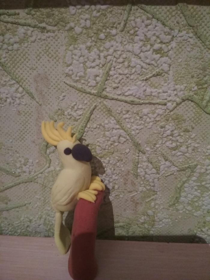 Как слепить попугая какаду из пластилина своими руками